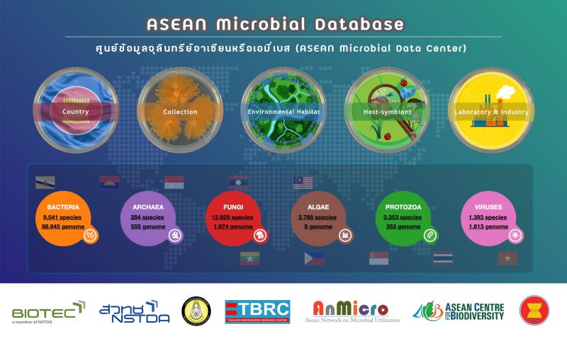 AmiBase: ศูนย์ข้อมูลจุลินทรีย์อาเซียน (AmiBase: ASEAN Microbial Data Center)