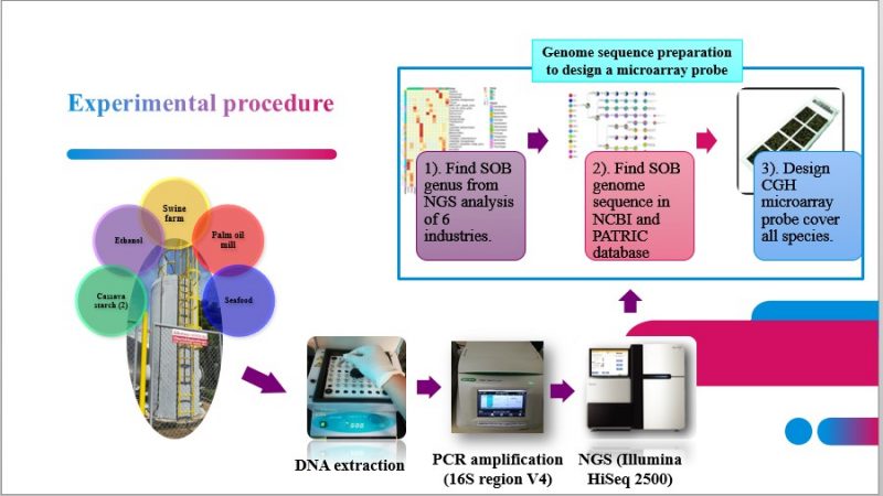 Biodiversity of sulfur-oxidizing bacteria in full-scale H2S removal systems